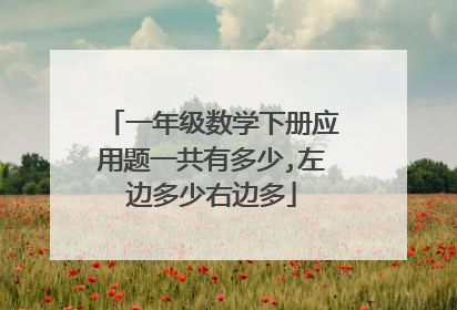 一年级数学下册应用题一共有多少,左边多少右边多