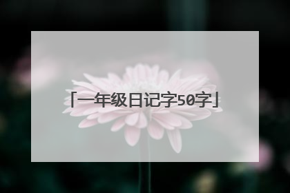 一年级日记字50字