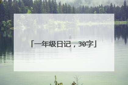 一年级日记,30字