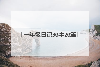一年级日记30字20篇