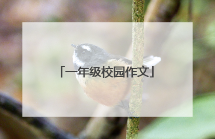一年级校园作文