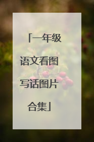 一年级语文看图写话图片合集
