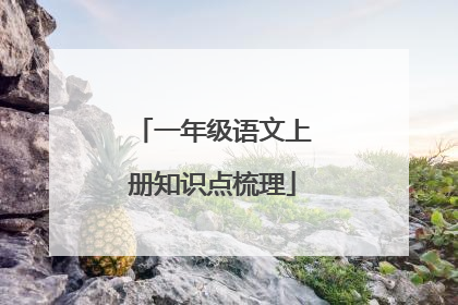 一年级语文上册知识点梳理