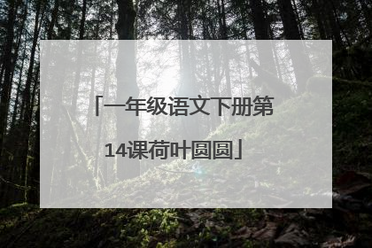 一年级语文下册第14课荷叶圆圆