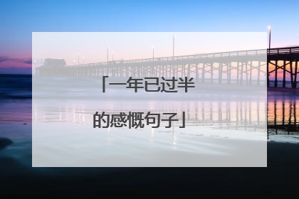 一年已过半的感慨句子