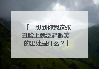 一想到你我这张丑脸上就泛起微笑的出处是什么？