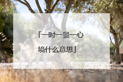 一时一景一心境什么意思