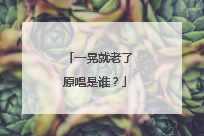 一晃就老了原唱是谁？