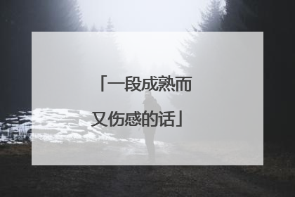 一段成熟而又伤感的话