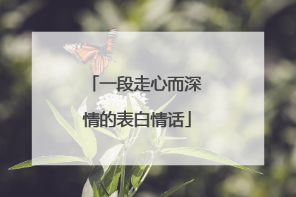 一段走心而深情的表白情话