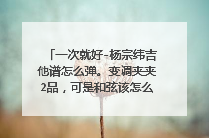 一次就好-杨宗纬吉他谱怎么弹。变调夹夹2品，可是和弦该怎么按，节奏又是什么。我是新手求指点。
