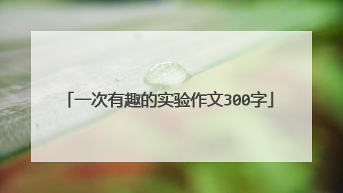 一次有趣的实验作文300字