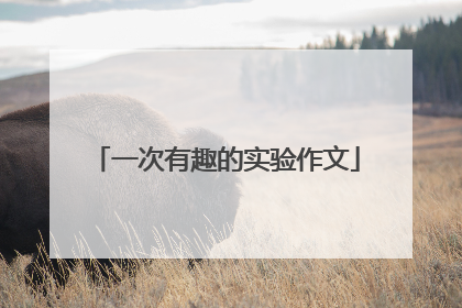 一次有趣的实验作文