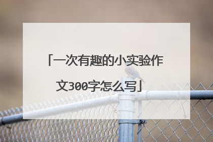 一次有趣的小实验作文300字怎么写