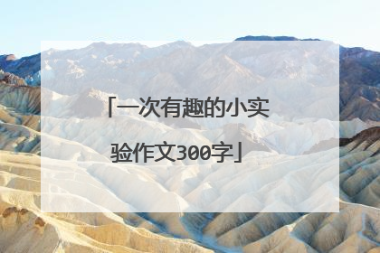 一次有趣的小实验作文300字