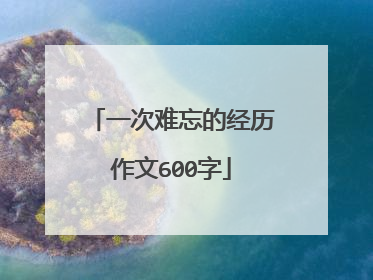 一次难忘的经历作文600字