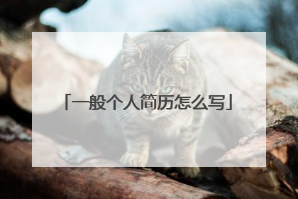 一般个人简历怎么写