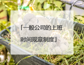 一般公司的上班时间规章制度