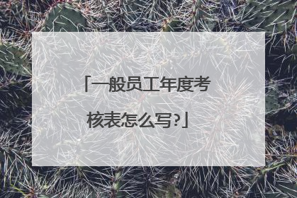 一般员工年度考核表怎么写?