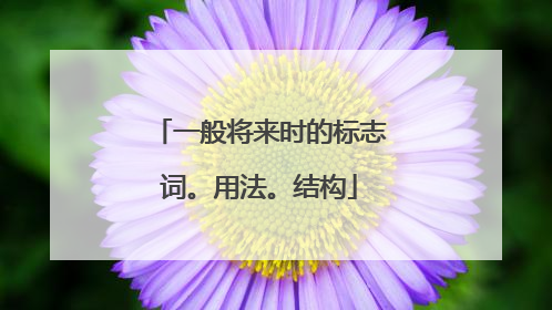一般将来时的标志词。用法。结构