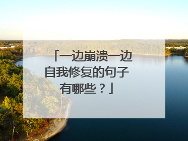 一边崩溃一边自我修复的句子有哪些？
