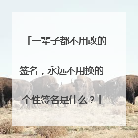 一辈子都不用改的签名，永远不用换的个性签名是什么？