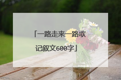 一路走来一路歌记叙文600字
