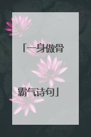 一身傲骨霸气诗句