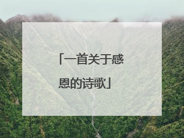 一首关于感恩的诗歌
