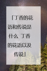 丁香的花语和传说是什么 丁香的花语以及传说