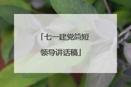 七一建党简短领导讲话稿