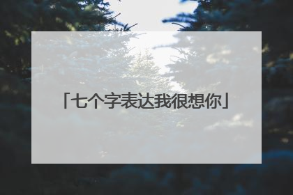 七个字表达我很想你