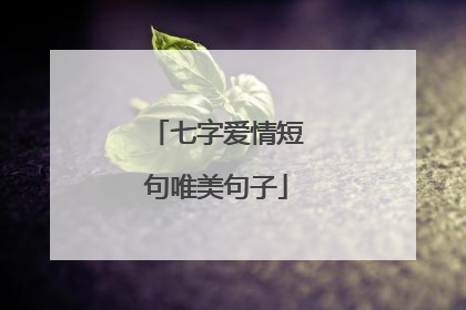 七字爱情短句唯美句子