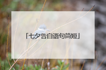 七夕告白语句简短