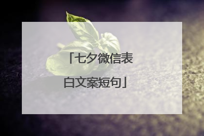七夕微信表白文案短句