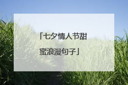 七夕情人节甜蜜浪漫句子