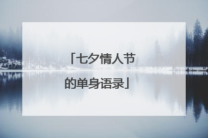 七夕情人节的单身语录