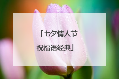 七夕情人节祝福语经典