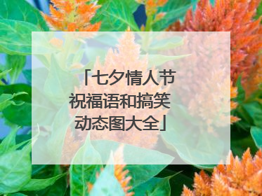 七夕情人节祝福语和搞笑动态图大全