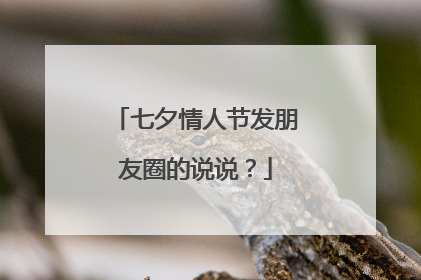 七夕情人节发朋友圈的说说？
