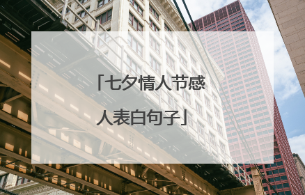 七夕情人节感人表白句子