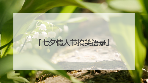 七夕情人节搞笑语录