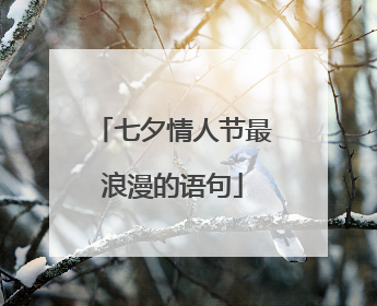 七夕情人节最浪漫的语句