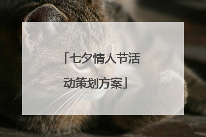 七夕情人节活动策划方案