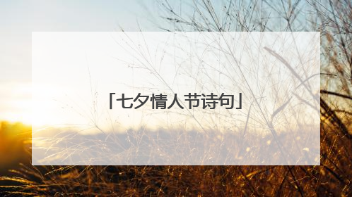 七夕情人节诗句