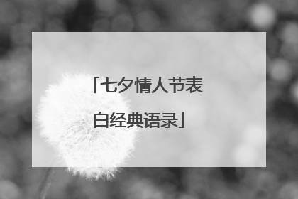 七夕情人节表白经典语录