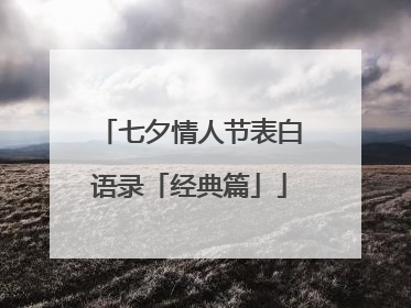 七夕情人节表白语录「经典篇」