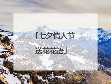 七夕情人节送花花语