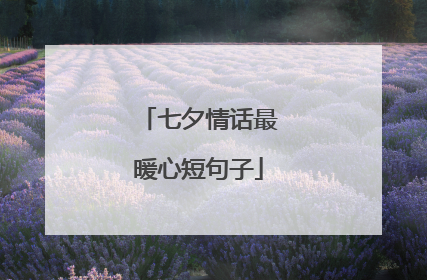 七夕情话最暖心短句子