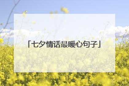 七夕情话最暖心句子
